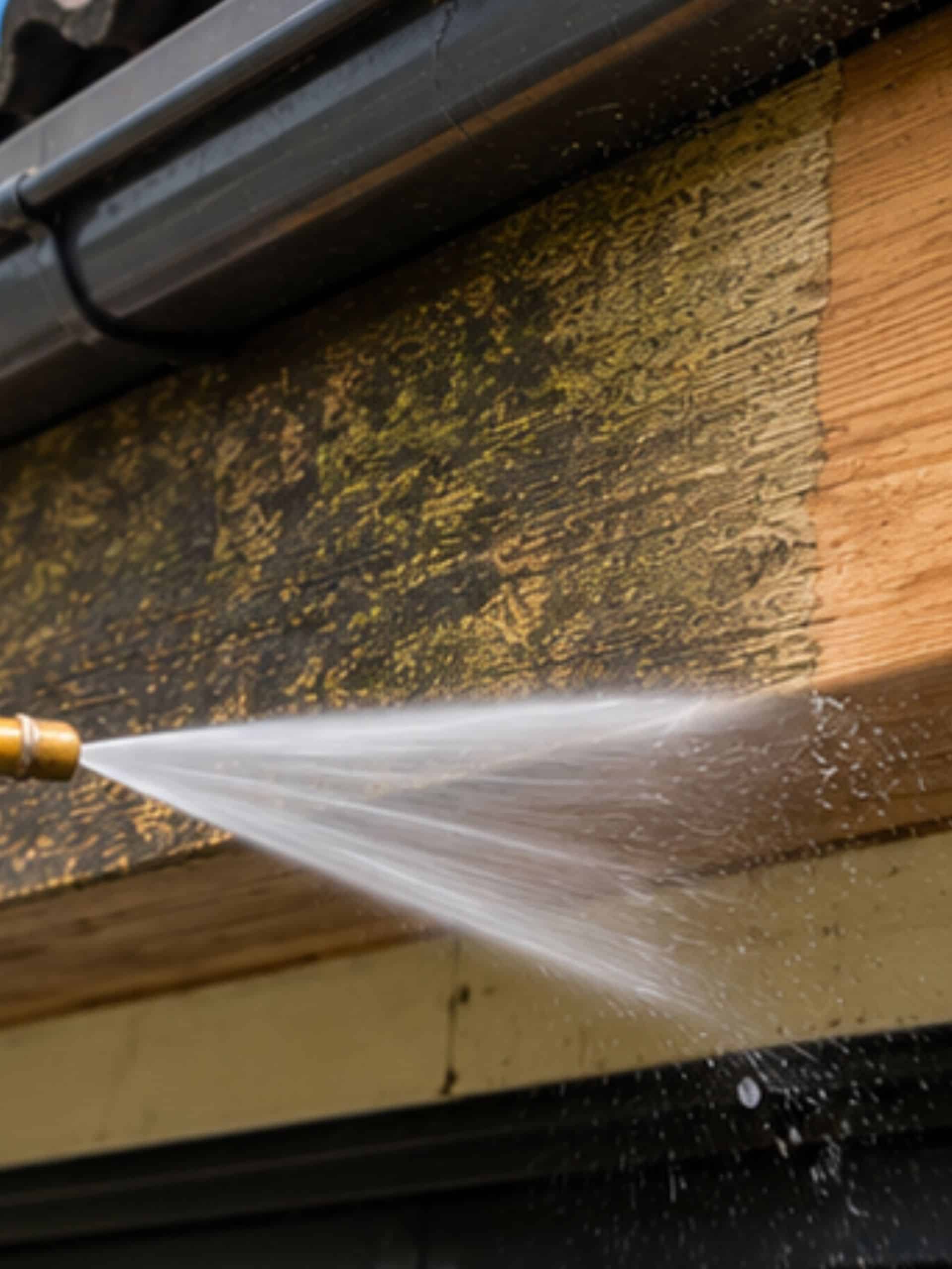 RDV Plus schoonmaakbedrijf Groningen ervaren medewerker