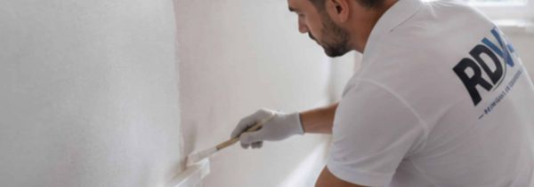 RDV Plus schilderwerken wit met kwast
