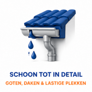 RDV Plus schoon tot in detail goten daken en lastige plekken specialistische reiniging Groningen