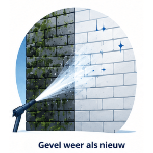 RDV Plus gevelreiniging weer als nieuw